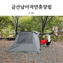 금산 남이자연휴양림 제3캠핑장 캠핑후기｜출렁다리｜하늘슬라이드