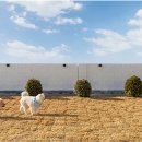 바사리 풀빌라 이미지