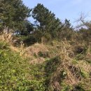 유수암보건진료소 이미지