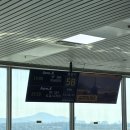 384 | 청주공항 이바라키 에어로케이 체크인 기내수하물 위탁수하물 보안검사 출국심사 후기 RF384