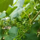 운산농장 이미지