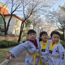 용인대 홍익 태권도장 이미지