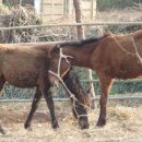 주렴농장 이미지