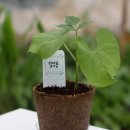 심기보농장 이미지