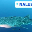 아쿠아폴리스 이미지