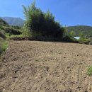 영소 농장 이미지