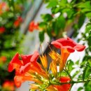 수월초등학교 이미지