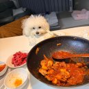 안골로31 | 구리전통시장 맛집 곱창골목 원조 유박사 포장 후기 (feat.줄줄이호떡)