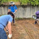 팔음산마을 이미지