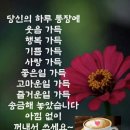 예뿐걸 - 속초시 중앙로 190 | 예뿐걸