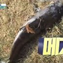 재건세탁소 이미지