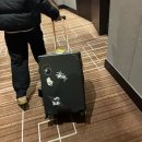 T&F클럽 | 인천 송도 쉐라톤 이그제큐티브 스위트 객실후기/쉐라톤 웨딩 특전 후기