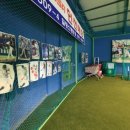 실내야구장 이미지