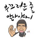 국힘 중앙당 '욱일기 사태' 서울시의원 한명만 구두경고 이미지