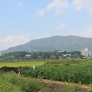법인춘