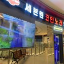 노래야 노래야 코인노래연습장 하남미사점 이미지