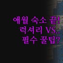 럭셔리당구장 | 제주 애월 숙소 비교 | 럭셔리 독채 이이도 온수풀빌라 | 가성비 호텔 탐라스테이 탑스텐 | 목적별 완벽...