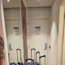 청춘도시투어 | 우당탕탕 5일만에 스페인여행준비하기 (전체일정 및 숙소후기 샌딩투어추천)
