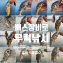 루어크루