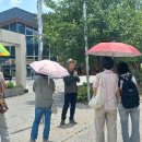 반하(半夏)와 하고초(夏枯草) 이미지