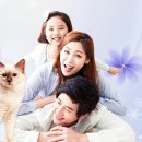 레스펫동물병원 이미지