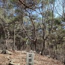 4월1일(화):갈매봉-오봉산-마골산-동축산 이미지