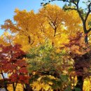 나무이야기 이미지