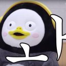 강산에칡족발보쌈 이미지