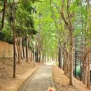 명지공원1(운동장) 이미지