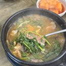 서울사철탕 | 송파구에서 찾은 몸보신 맛집, 마천동 "영광식당"(구 영광사철탕) 후기