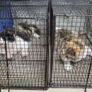 옥과동물병원 이미지