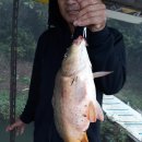 살구골낚시터 이미지