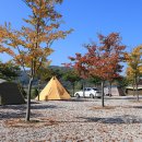 학마을캠프 이미지