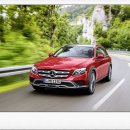 로얄카센타 이미지