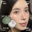 일본 돈키호테 화장품 추천 클럽 슷핀 쌩얼 파우더 그린 후기 | 가격, 효과, 사용법 총정리