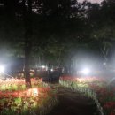 불갑모악보건진료소 이미지