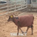 경기수정란이식센터 이미지