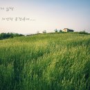 바람이분다 Daum카페