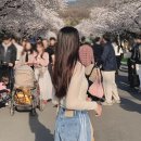 화이트라인의원 | 수원 다이어트인생 추천 비만클리닉의원 출산 후 하프한 라인 성공후기