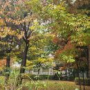 충주시문화회관 이미지