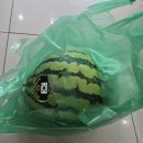 장수의료기. 보청기 | 밀양 의료기기 밀양보청기 무안면에 거주하시는 어머니, 귓속형 보청기 착용후기입니다.