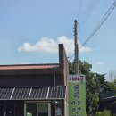 아빠의나무 야영장 | 아산시 영인면 세제골농원 숲속야영장 방문 후기!