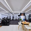 더 리얼핏 이미지