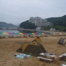 외도펠리스 이미지