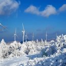 대동사거리 파리바게트 앞 이미지