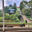 돼지야놀자 이미지