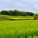 용궁면경로당 이미지