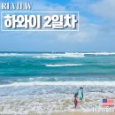 거대한우농장 | 하와이 여행 2일차 일정 : 라니아케아비치 샥스코브 스노클링 지오반니 새우트럭 마루카메우동