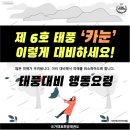 국가대표태풍태권도장 이미지