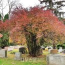 나무와창 이미지